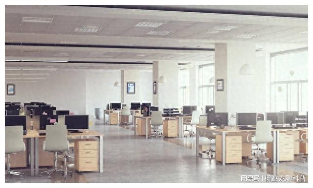 AG真人国际24年最有前景的工作过完年加入吧