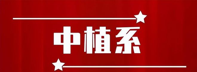 AG真人国际回顾：进入破产清算比恒大还多12万亿15万投资者血本无归(图2)