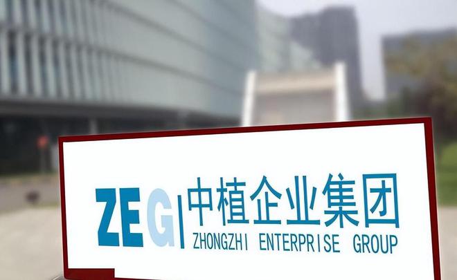 AG真人国际回顾：进入破产清算比恒大还多12万亿15万投资者血本无归(图3)