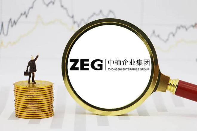 AG真人国际回顾：进入破产清算比恒大还多12万亿15万投资者血本无归(图6)